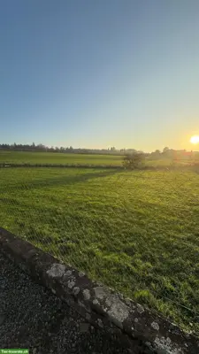 Hundeplatz stundenweise zu vermieten