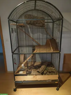 Vogelkäfig / Papageienkäfig zu verkaufen