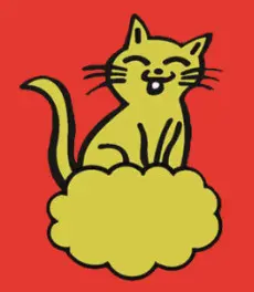 Katzenbetreuung: Büsi Sitting in Thun und Umgebung