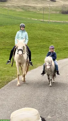 Reitstunden und Ponynachmittage in Erlinsbach SO