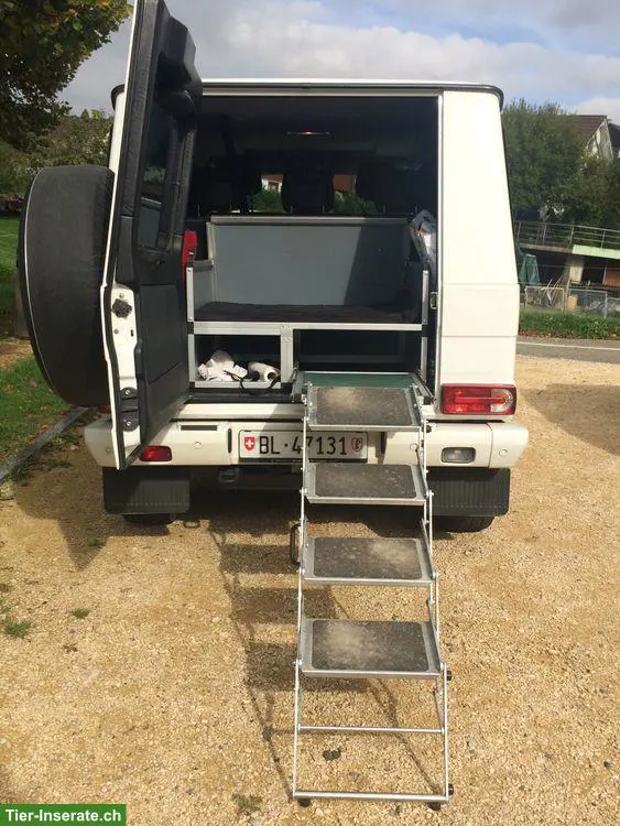 Hundebox, Hundetreppe, Hunderampe, Einstiegshilfe, G-Klasse