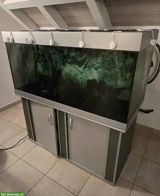 Aquarium 130x60x60cm mit Möbel und Abdeckung, sowie Licht