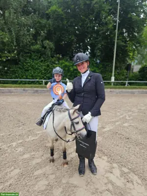 Individueller Reitunterricht im Kanton Luzern