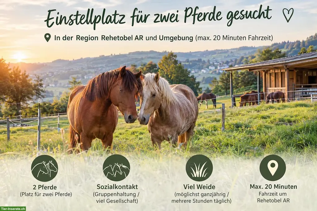 Suche für Pferdeduo einen Einstellplatz, Umkreis Rehetobel AR