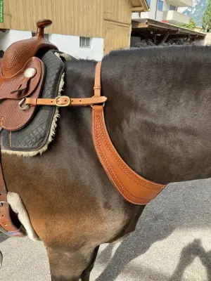 Western Vorderzeug / Vorgeschirr, Top Lederqualität