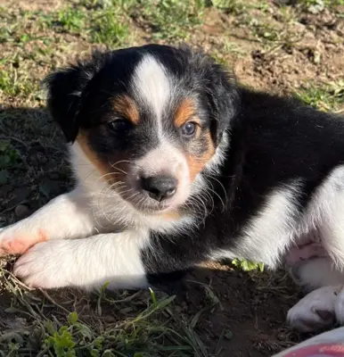 Jackymix sucht neues Wirkungsfeld