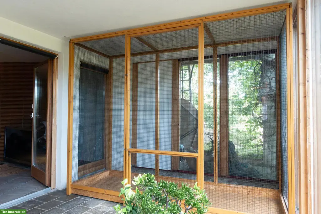 Vogelkäfig aus Holz und Metallgitter zu verkaufen