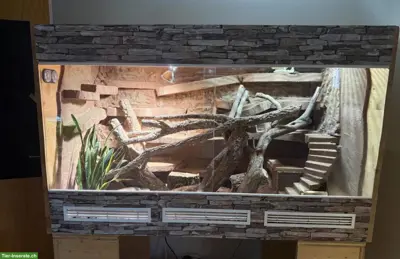 Holzterrarium mit aufwendiger Einrichtung zu verkaufen