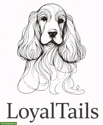 LoyalTails Hundebetreuung, wir sorgen für HappyTails
