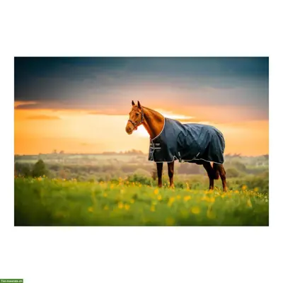 Horseware Amigo Pferdedecken 140 cm zu verkaufen