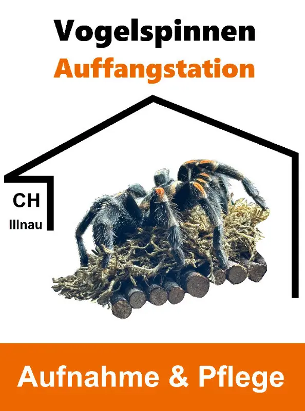 ccf96b39-2d7b-46b8-bb2e-1f970fc618b0-VS-Auffang-TerraExpo.jpg