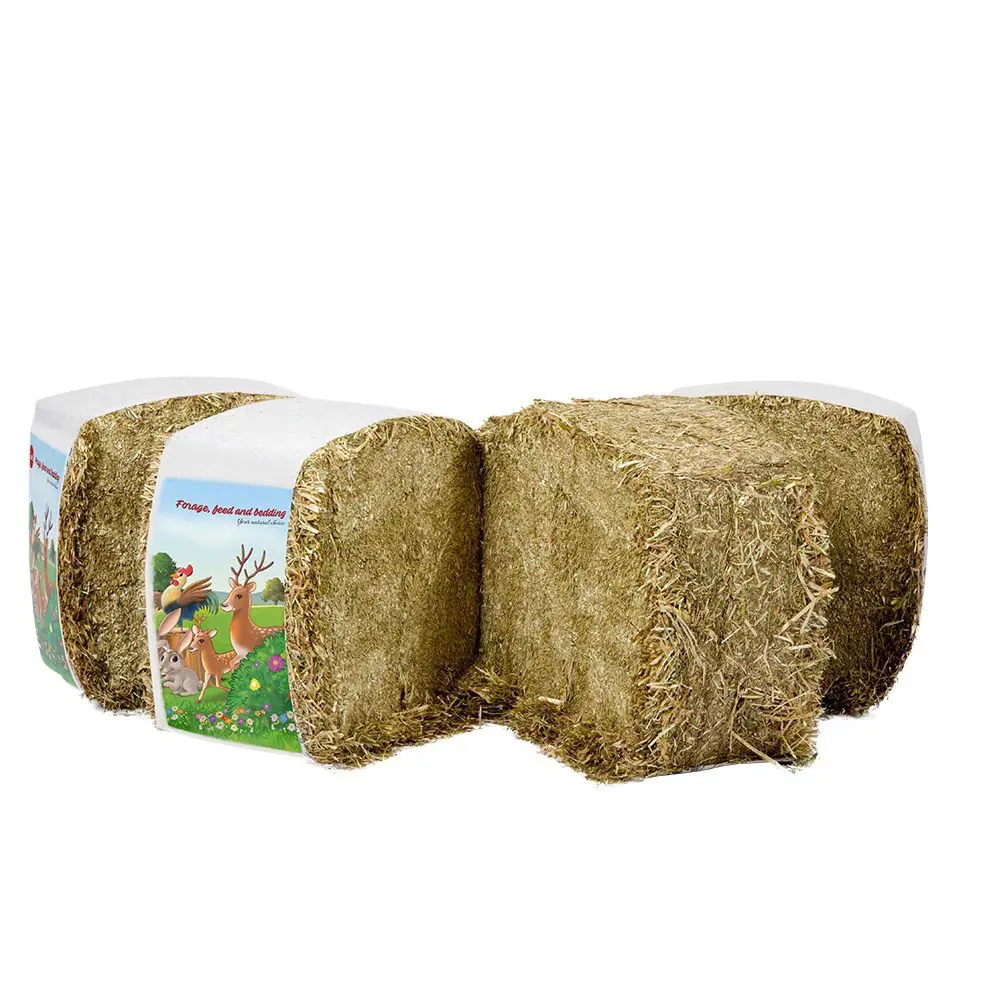 9ee3e402-45eb-437f-8382-20389a4716c0-IMG_0439.jpg