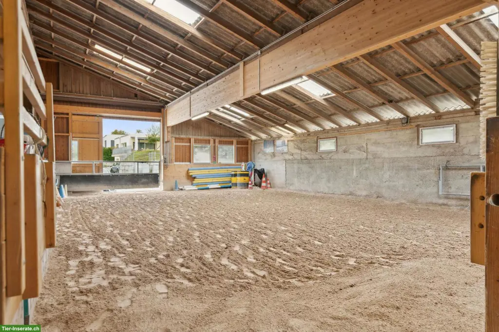 Kernsanierte Reitsportimmobilie in Bözen AG