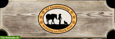 Reitstunden und Ausritte im Aargau