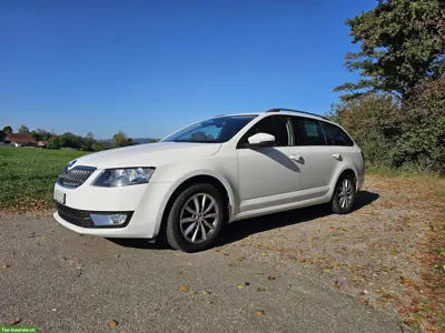 Skoda Octavia 2.0 TDI inkl. Hundegittertür zu verkaufen