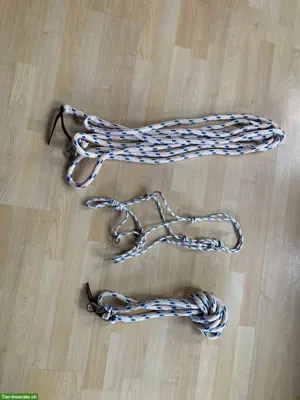 Knotenhalfter und Seile zu verkaufen