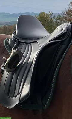 ChampionRider Sattel 17.5 Zoll zu verkaufen