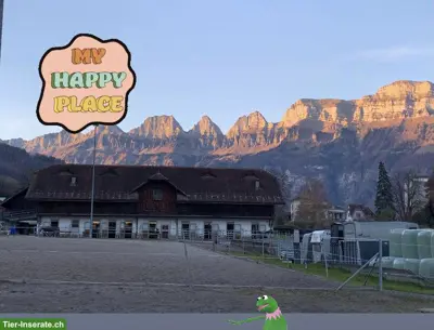 Pferdehof Bünte Flums