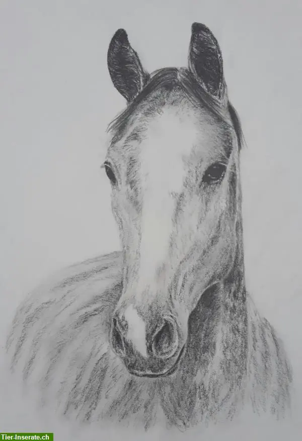 unnamed