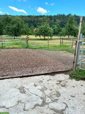 2 grosse Auslaufboxen mit Weideanschluss in Kappel SO