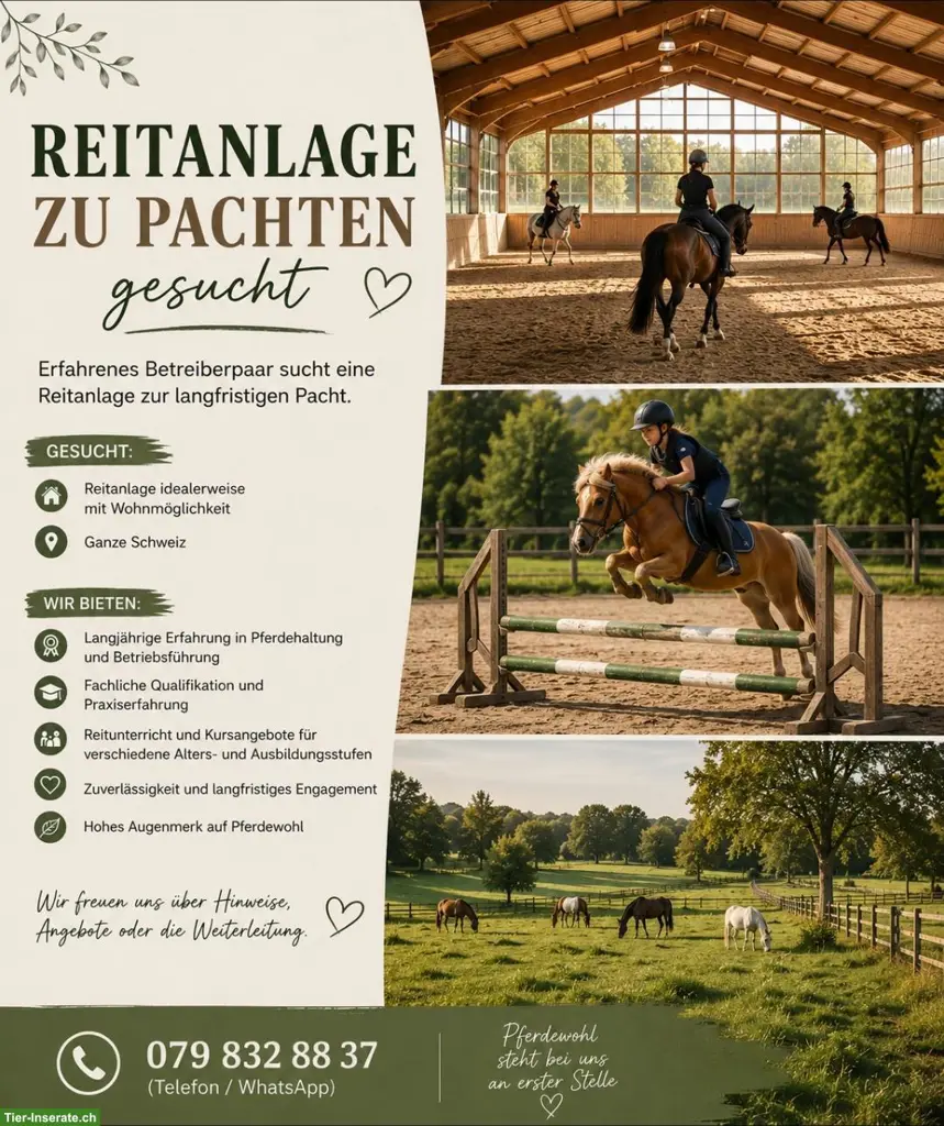 Reitanlage zu pachten gesucht, ganze SCHWEIZ und grenznah
