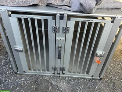 Auto Doppel-Hundebox zu verkaufen
