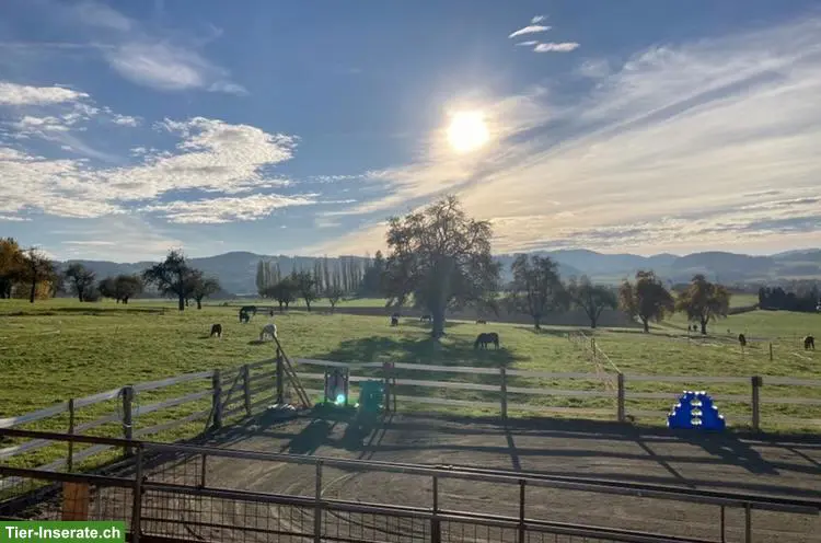unnamed