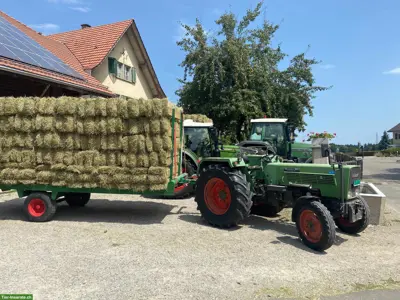 Heu in Kleinballen in TOP Qualität zu verkaufen