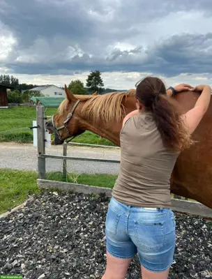 Pferdeosteopathie Bern, ganzheitliche Behandlung