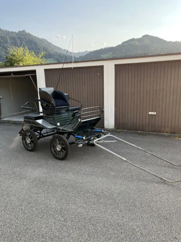 9672e55b-2ffa-4d2b-90e3-de6aa3b69a74-Kutsche_3_Seite rechts.jpg