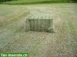 Heu, Emd und Stroh in Quaderballen und Kleinballen, Grascobs