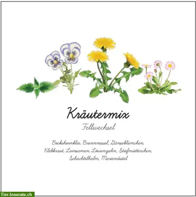 1kg Kräutermischungen Pferde 🐴 Bio Lebensmittelqualität