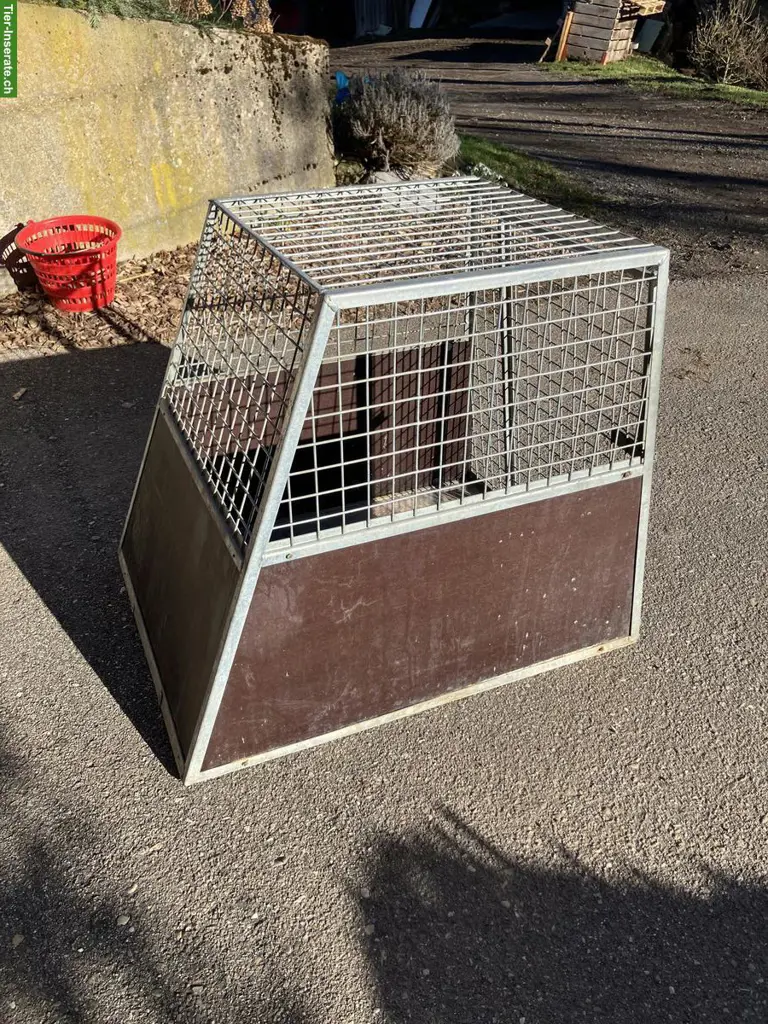 Massive Hundetransportbox zu verkaufen