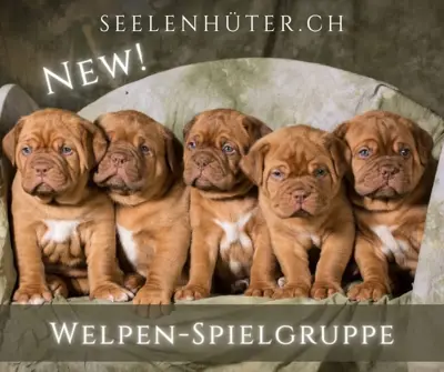 WelpenTreffen