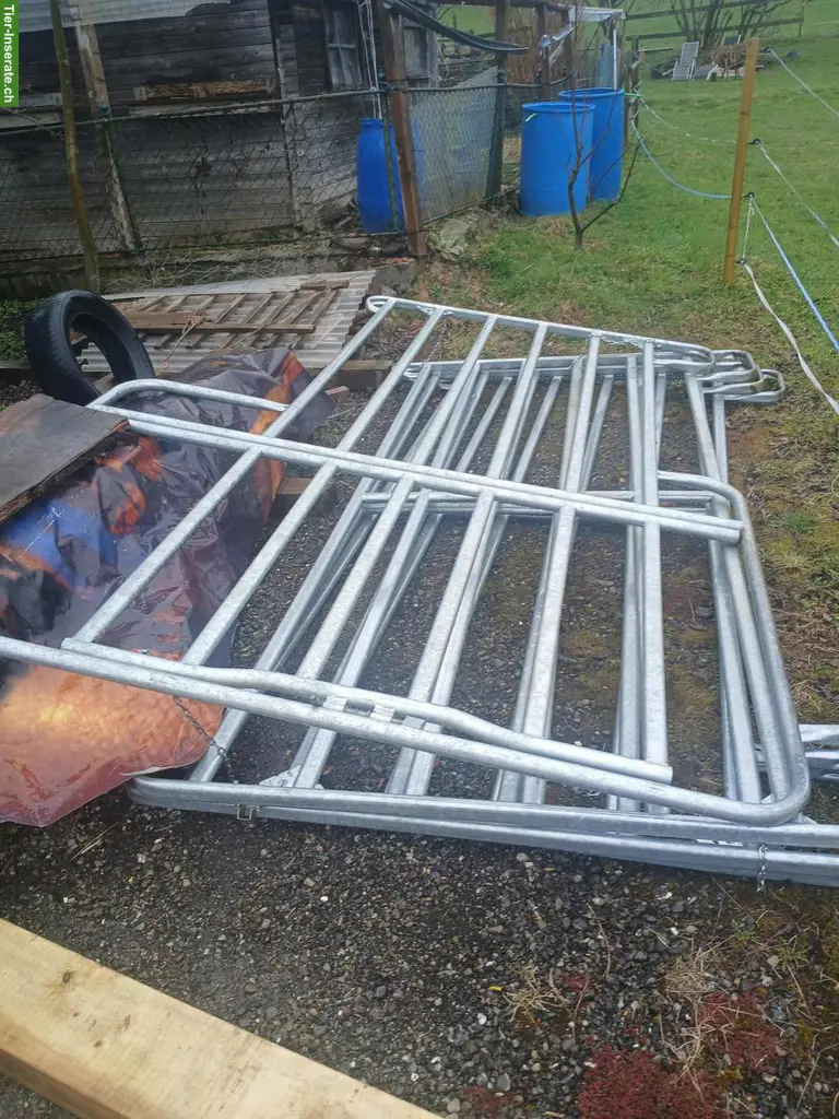 Weidepanels (Box) für Pferde zu verkaufen