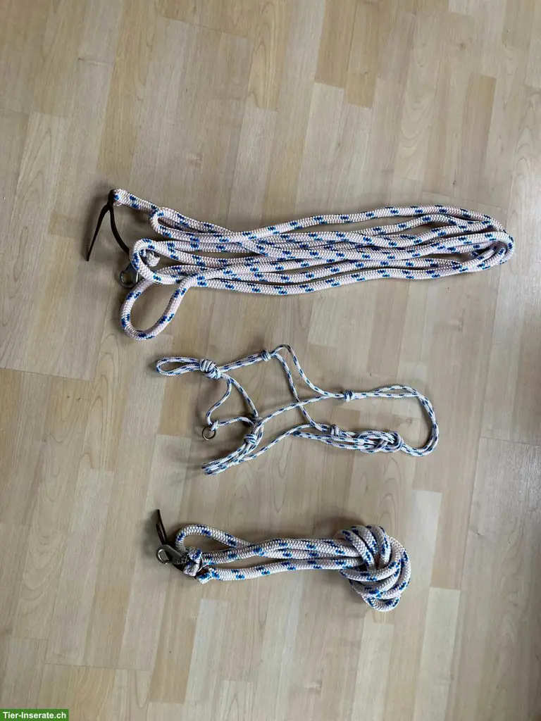 Knotenhalfter und Seile zu verkaufen
