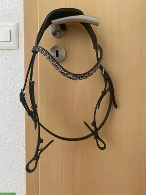 Anatomisches Genicksstück ohne Nasenriemen, Grösse Cob