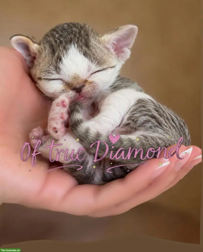 unnamed