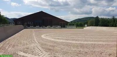 Freie Auslaufboxen mit bedampftem Heu & Stroh, Pfungen ZH