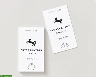 Vitalcoach für Pferd und Pony