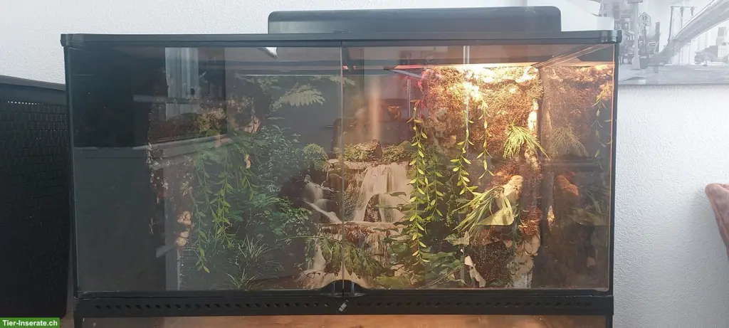 Exo Terra Terrarium 90cm inkl. Lampe