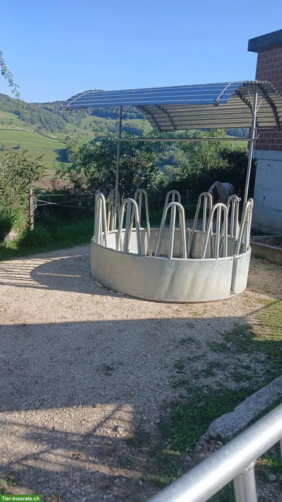 Heuraufe rund mit Dach zu verkaufen