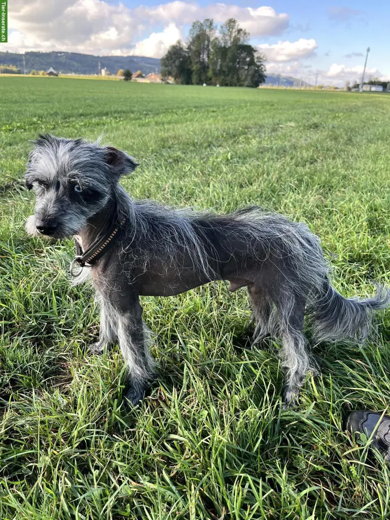 unnamed
