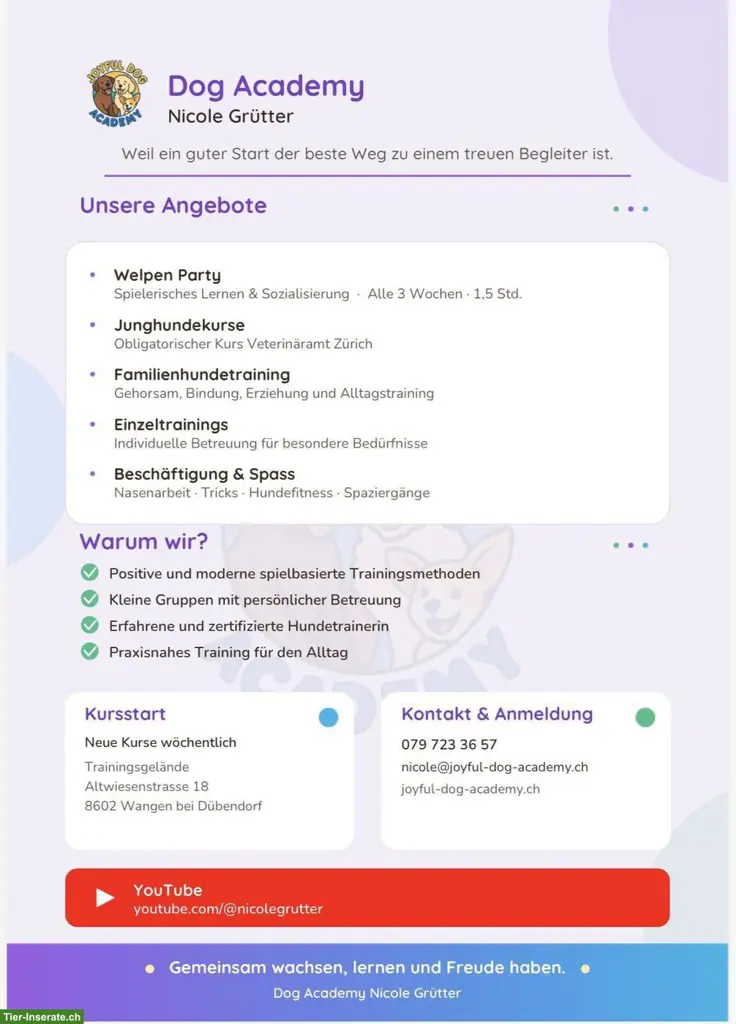Erlebnis Hunde-Spaziergänge