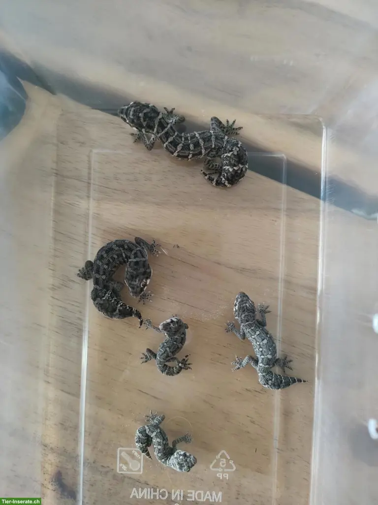 unnamed