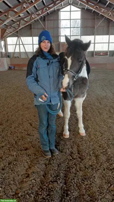 Reitunterricht bei Ihnen Zuhause