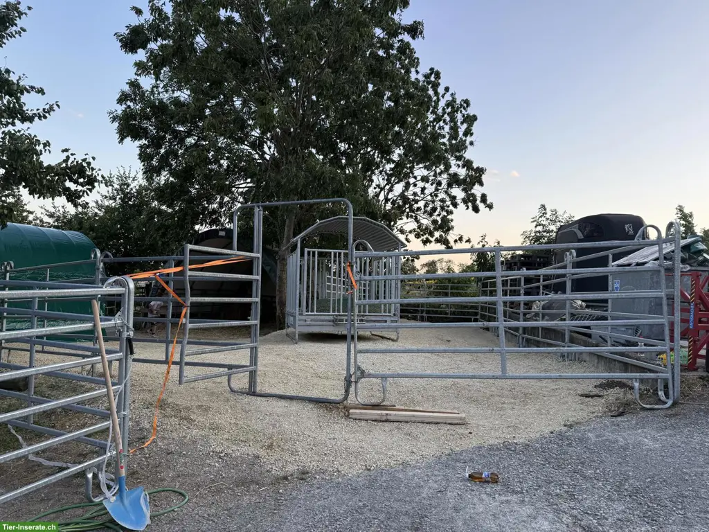 Freie Plätze in Offenstall, Bettlach SO