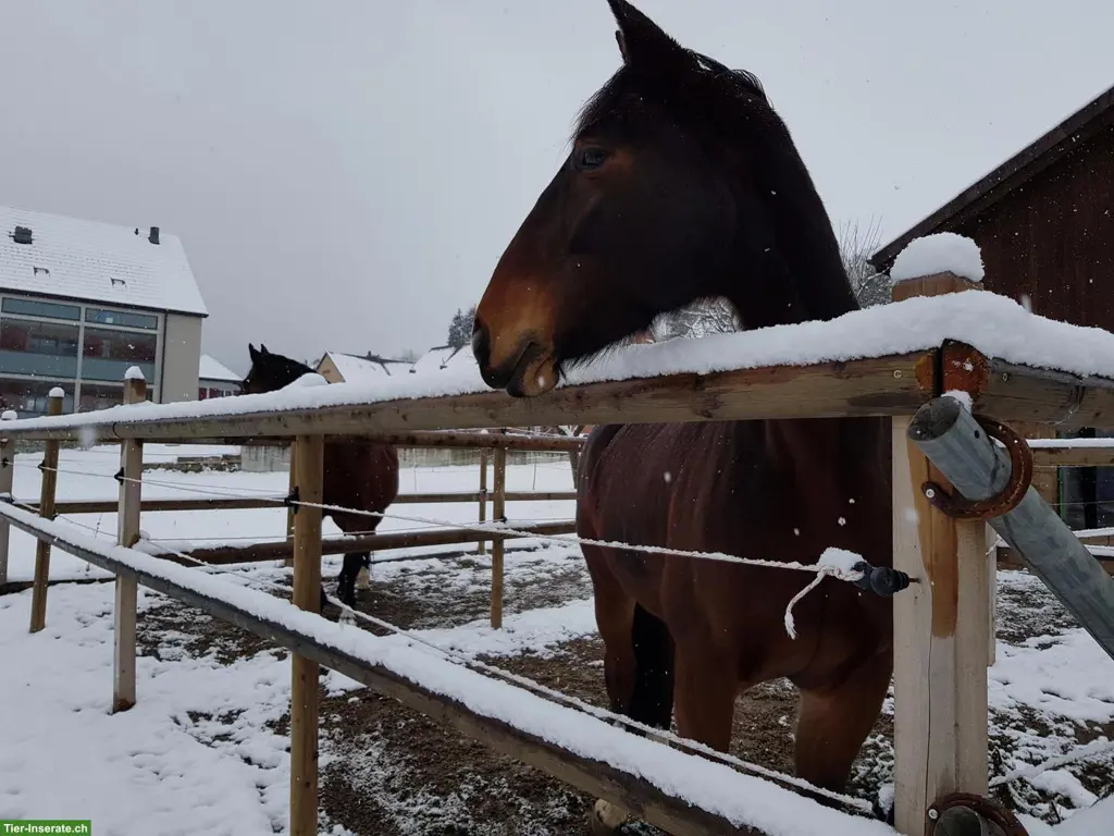 unnamed