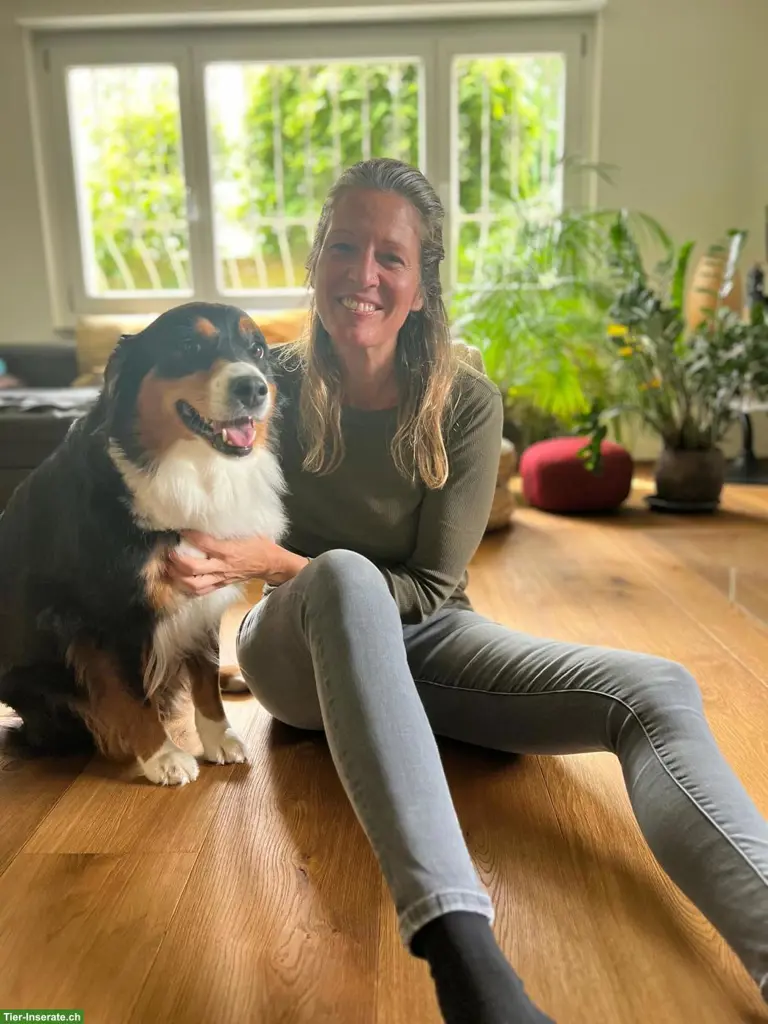 Biete liebevolle Hundebetreuung in kleinen Gruppen
