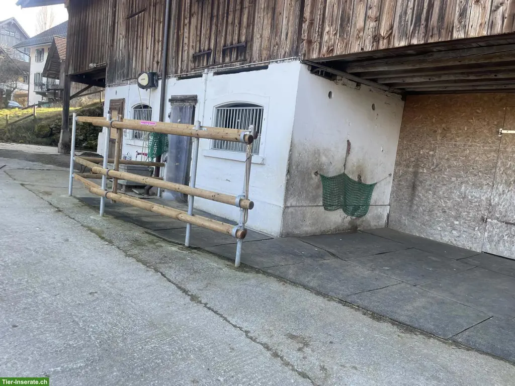 XL-Auslaufbox mit grandiosem Reitgebiet in Rifferswil ZH